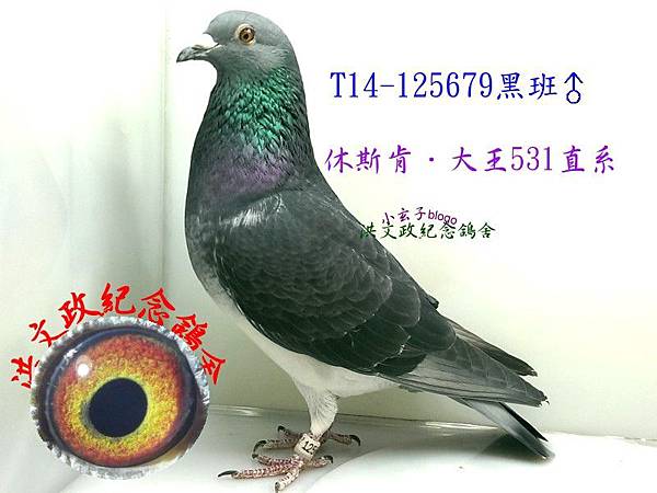 125679 125679