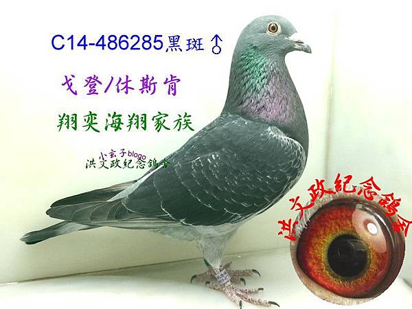486285(1) 486285(1)