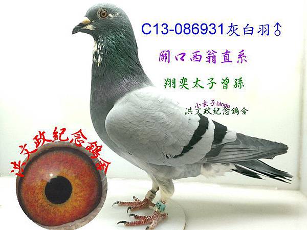 086931 086931