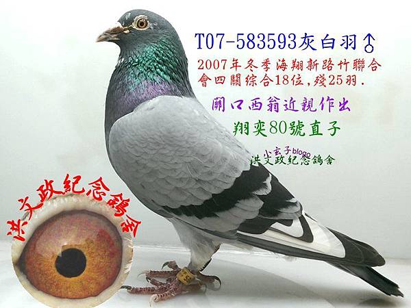583593 583593