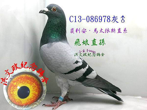 086978 086978