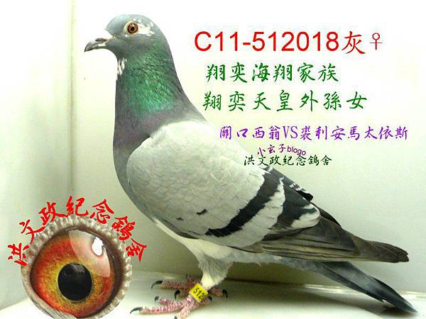512018(1) 512018(1)