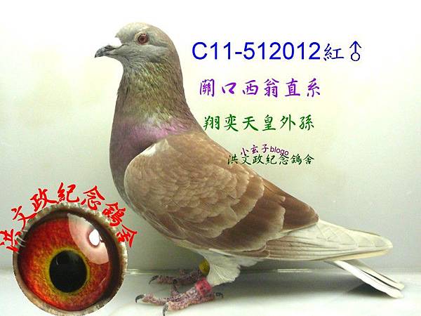 512012 512012