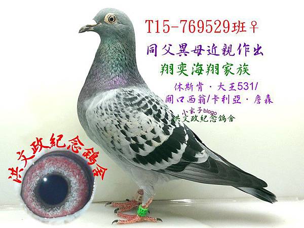 769529 769529