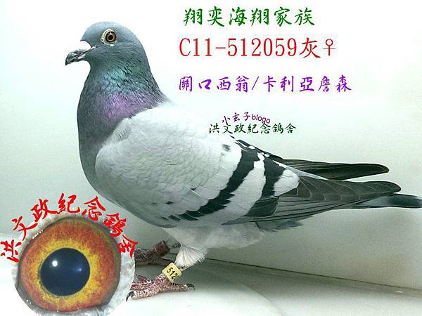 512059(1) 512059(1)