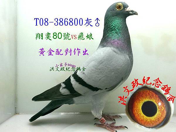 386800 386800