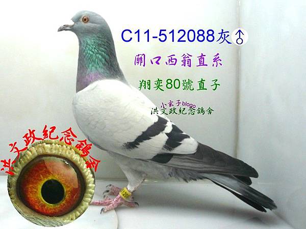 512088 512088