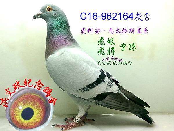 962164 962164