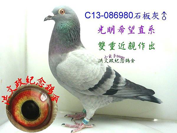 086980 086980