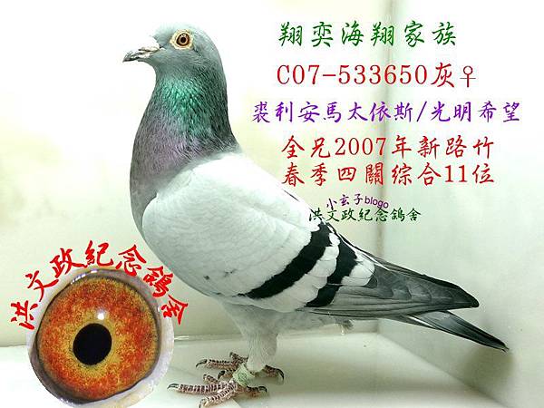 533650 533650