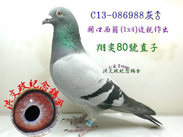 086988 086988