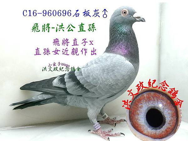 960696(1) 960696(1)