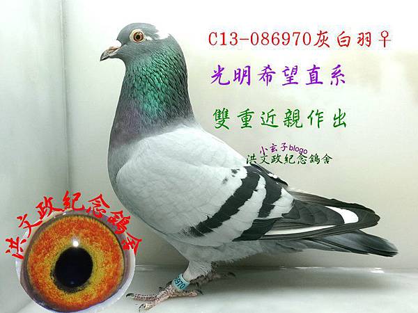 086970 086970