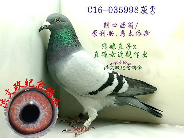 035998 035998