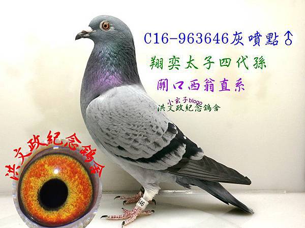 963646(1) 963646(1)