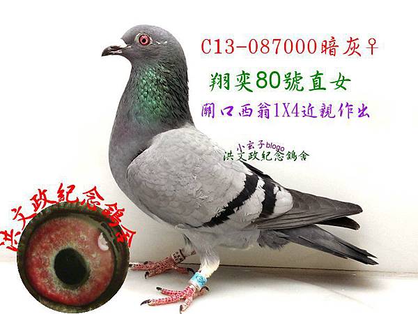 087000 087000