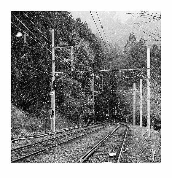 L1030908 L1030908