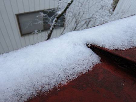 IMG_1025.JPG IMG_1025.JPG