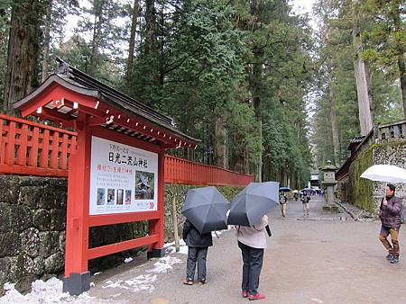 IMG_1378.JPG IMG_1378.JPG