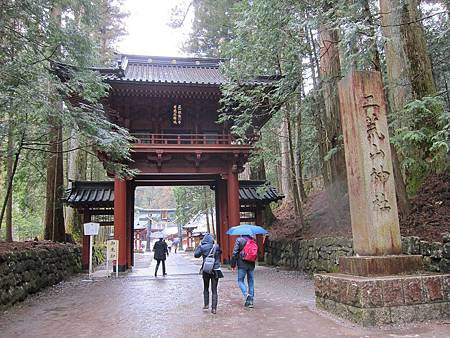 IMG_1393.JPG IMG_1393.JPG