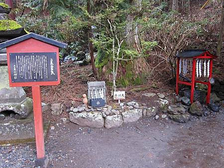 IMG_1439.JPG IMG_1439.JPG