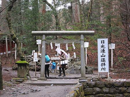 IMG_1446.JPG IMG_1446.JPG