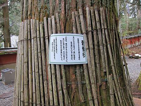 IMG_1452.JPG IMG_1452.JPG