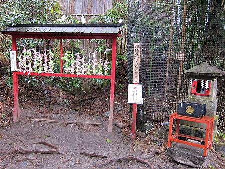 IMG_1456_copy.jpg IMG_1456_copy.jpg