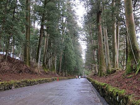 IMG_1482_copy.jpg IMG_1482_copy.jpg