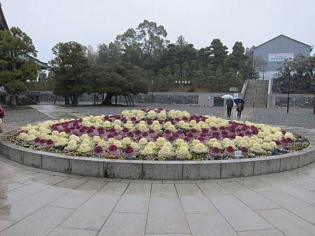 IMG_1820_copy.jpg IMG_1820_copy.jpg