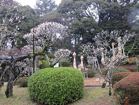 IMG_1841.JPG IMG_1841.JPG