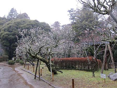 IMG_1842.JPG IMG_1842.JPG