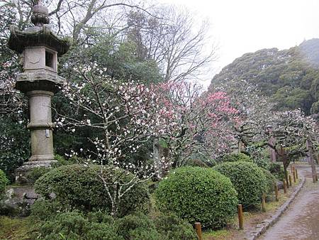 IMG_1843.JPG IMG_1843.JPG