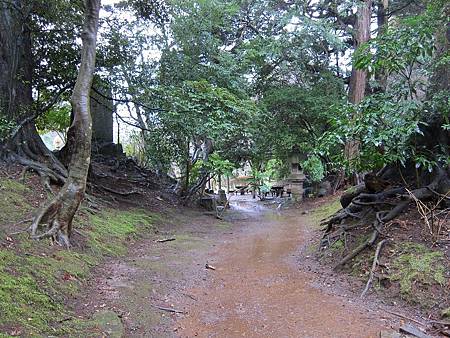 IMG_1845.JPG IMG_1845.JPG