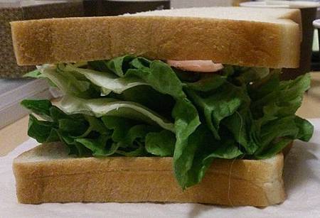 DSC_0570.JPG DSC_0570.JPG