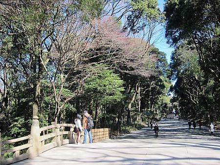 IMG_0377.JPG IMG_0377.JPG