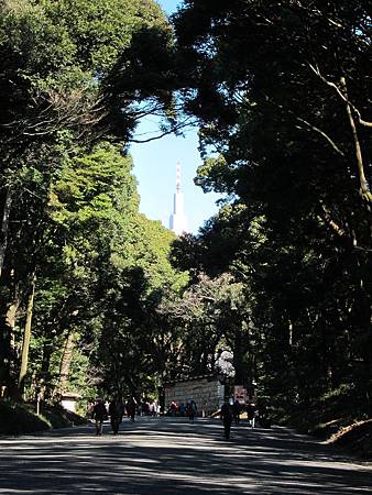 IMG_0384.JPG IMG_0384.JPG