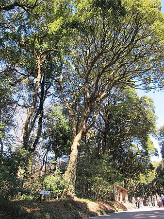 IMG_0395.JPG IMG_0395.JPG