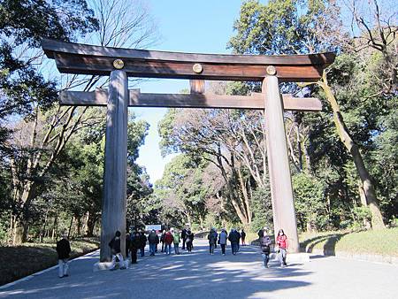 IMG_0411.JPG IMG_0411.JPG