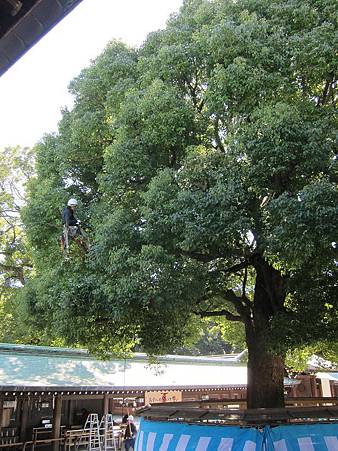 IMG_0463_copy.jpg IMG_0463_copy.jpg