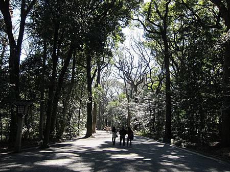 IMG_0493_copy.jpg IMG_0493_copy.jpg