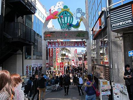 IMG_0545.JPG IMG_0545.JPG