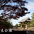 從奈良公園往東大寺望