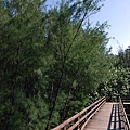 新豐：紅樹林保護區