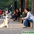 養狗民眾