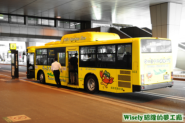 NGV Nostep Bus