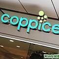 coppice