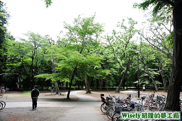 井の頭公園