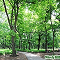 井の頭公園