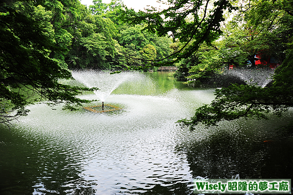 井の頭公園